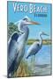 Blue Heron - Vero Beach, Florida-Lantern Press-Mounted Art Print