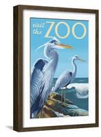 Blue Heron - Visit the Zoo-Lantern Press-Framed Art Print