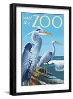 Blue Heron - Visit the Zoo-Lantern Press-Framed Art Print