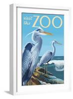 Blue Heron - Visit the Zoo-Lantern Press-Framed Art Print