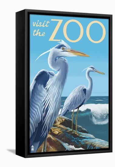 Blue Heron - Visit the Zoo-Lantern Press-Framed Stretched Canvas