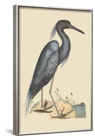 The Halcyon Bird by Kat Beyer The Halcyon Bird by Kat Beyer