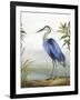 Blue Heron-Aimee Wilson-Framed Art Print