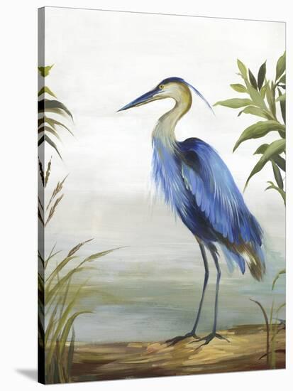 Blue Heron-Aimee Wilson-Stretched Canvas