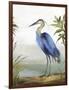 Blue Heron-Aimee Wilson-Framed Art Print