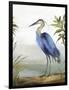 Blue Heron-Aimee Wilson-Framed Art Print