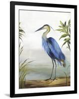 Blue Heron-Aimee Wilson-Framed Art Print