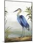 Blue Heron-Aimee Wilson-Mounted Art Print