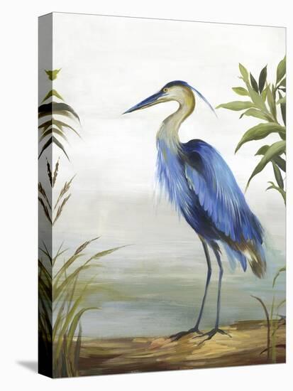 Blue Heron-Aimee Wilson-Stretched Canvas