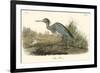 Blue Heron-John James Audubon-Framed Premium Giclee Print