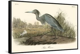 Blue Heron-John James Audubon-Framed Stretched Canvas