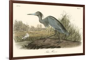 Blue Heron-John James Audubon-Framed Art Print