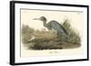 Blue Heron-John James Audubon-Framed Art Print