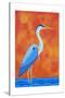 Blue Heron-Casey Craig-Stretched Canvas