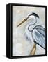 Blue Heron-Yvette St. Amant-Framed Stretched Canvas