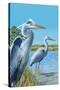 Blue Herons - East Coast-Lantern Press-Stretched Canvas