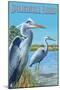 Blue Herons in Grass - Apalachicola, Florida-Lantern Press-Mounted Art Print