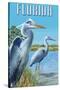 Blue Herons in Grass - Florida-Lantern Press-Stretched Canvas