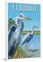 Blue Herons in Grass - Florida-Lantern Press-Framed Art Print