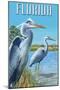 Blue Herons in Grass - Florida-Lantern Press-Mounted Art Print