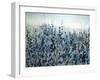 Blue Hollyhock-O'Toole O'Toole-Framed Giclee Print