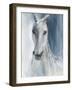Blue Horse-Eli Jones-Framed Art Print