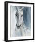 Blue Horse-Eli Jones-Framed Art Print