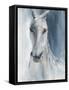 Blue Horse-Eli Jones-Framed Stretched Canvas