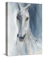 Blue Horse-Eli Jones-Stretched Canvas