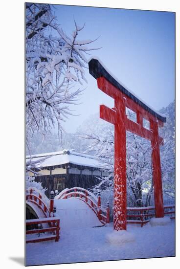 Blue hour in Shimogamo Shrine, UNESCO World Heritage Site, during the largest snowfall on Kyoto in-Damien Douxchamps-Mounted Premium Photographic Print