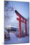 Blue hour in Shimogamo Shrine, UNESCO World Heritage Site, during the largest snowfall on Kyoto in-Damien Douxchamps-Mounted Photographic Print