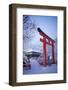 Blue hour in Shimogamo Shrine, UNESCO World Heritage Site, during the largest snowfall on Kyoto in-Damien Douxchamps-Framed Photographic Print