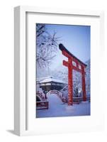 Blue hour in Shimogamo Shrine, UNESCO World Heritage Site, during the largest snowfall on Kyoto in-Damien Douxchamps-Framed Photographic Print