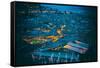 Blue Hour Shot over Roofs of Lijiang Old Town, Lijiang, Yunnan, China, Asia-Andreas Brandl-Framed Stretched Canvas