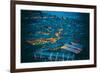 Blue Hour Shot over Roofs of Lijiang Old Town, Lijiang, Yunnan, China, Asia-Andreas Brandl-Framed Photographic Print