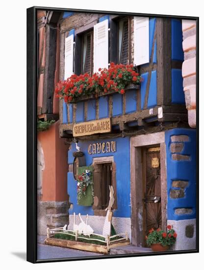 Blue House with Windowbox Full of Geraniums, Niedermorschwihr, Haut-Rhin, Alsace, France-Ruth Tomlinson-Framed Photographic Print