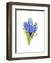 Blue Hyacinth, 2014-John Keeling-Framed Giclee Print