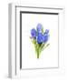 Blue Hyacinth, 2014-John Keeling-Framed Giclee Print