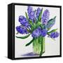 Blue Hyacinths-Christopher Ryland-Framed Stretched Canvas