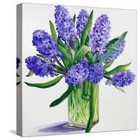 Blue Hyacinths-Christopher Ryland-Stretched Canvas