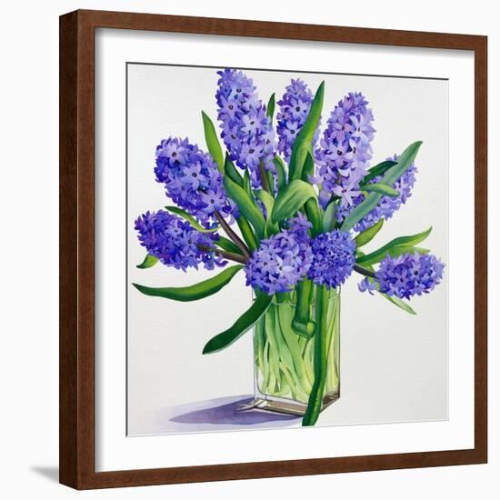 Blue Hyacinths-Christopher Ryland-Framed Giclee Print