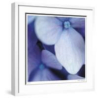 Blue Hydrangea 1-Stacy Bass-Framed Giclee Print