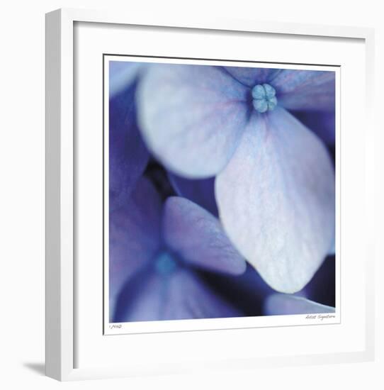 Blue Hydrangea 1-Stacy Bass-Framed Giclee Print