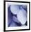 Blue Hydrangea 1-Stacy Bass-Framed Limited Edition