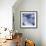 Blue Hydrangea 2-Stacy Bass-Framed Giclee Print displayed on a wall