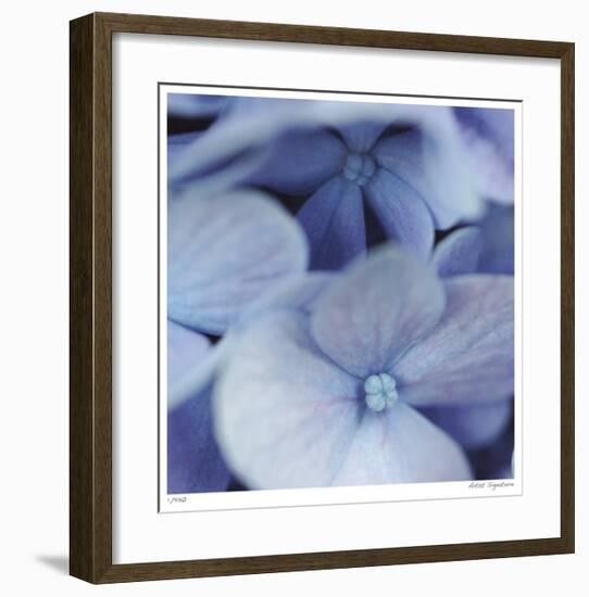 Blue Hydrangea 2-Stacy Bass-Framed Giclee Print