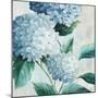 Blue Hydrangea Blooms I-Alex Black-Mounted Art Print