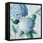 Blue Hydrangea Blooms II-Alex Black-Framed Stretched Canvas