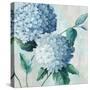 Blue Hydrangea Blooms II-Alex Black-Stretched Canvas