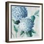 Blue Hydrangea Blooms II-Alex Black-Framed Art Print